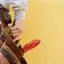 Handyman repair service in Staten Island, NY for home fixes and improvements